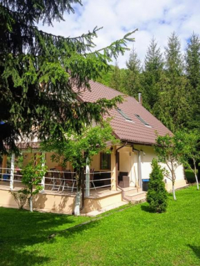 Casa Aris Lepsa Vrancea